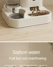 Load image into Gallery viewer, Automatic Feeder Dog Cat Food Bowl With Water Fountain Large Capacity Pet Food Storage Dispenser Container Puppy Pet Accessories
