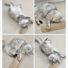 Load image into Gallery viewer, Durable Cat Toy Pillow and Scratching Pad - Chew-Resistant, Teething Bed Cover Style Cat Bed, Soft and Mosquito-Repelling
