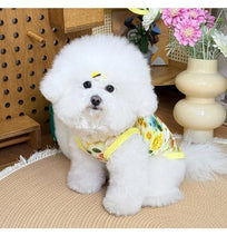 Load image into Gallery viewer, Spring pet apparel: cat &amp; dog clothing - cartoon 3d print, teddy style, cute &amp; breathable, anti-shedding, dropshipping available
