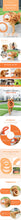 Load image into Gallery viewer, 1pc Orange Dog Toys Pet Flying Disk Training Ring Puller EVA Interactive Training Ring Puller Resistant for Dogs
