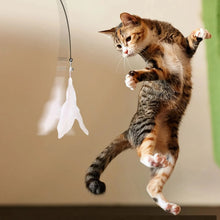 Load image into Gallery viewer, Cat Teaser Toy - Interactive Bell &amp; Feather Wand - Long Suction Cup Pole for Exciting Playtime Adventures - Ultimate Cat Toy
