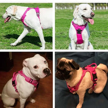 Load image into Gallery viewer, Reflective Adjustable Breathable Vest Chest Strap for Small Medium Large Dogs Pet Dog Harness Cat Puppy Collar Dog Accessoires

