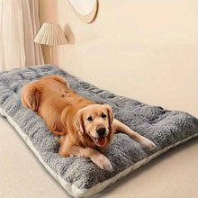 Load image into Gallery viewer, Thickened Super Soft Plush Sofa Bed

