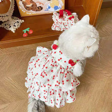 Load image into Gallery viewer, Pet Dress for Dogs &amp; Cats - Layered Cake Style Printed Clothes, Small Medium Breed Apparel, Adorable Summer Outfit
