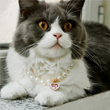 Load image into Gallery viewer, Adjustable Pet Pearl Necklace Accessories for Cats Gotas Animals Fashion Rhinestones Sphynx Cat Collar Kitten Dog collier chat
