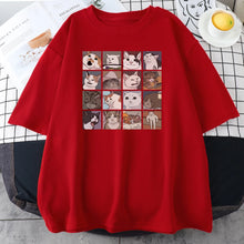 Load image into Gallery viewer, Funny Meme Cats Cotton Tee
