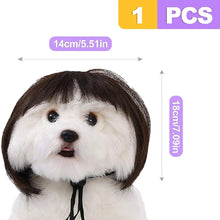 Load image into Gallery viewer, Pet Wigs Cosplay Props Dog Cat Cross-Dressing Hair Set Photography Funny Props Head Accessories Prank Pet Supplies Costumes DIY
