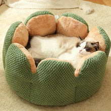 Load image into Gallery viewer, Petal Shaped Pet Bed, Plush Round Dog &amp; Cat Cushion Mat with Knitted Texture, Ultra Soft Warm Nest for Kittens Puppies in Winter
