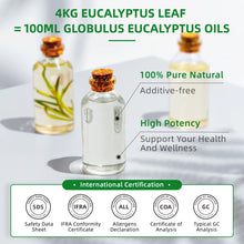 Load image into Gallery viewer, Thyme Pure Aromatherapy Essential Oil
