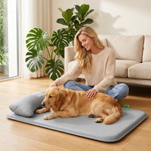 Load image into Gallery viewer, New Pet Bed with Pillow Removable and Washable Pet Mats All-Season Soft Cushion for Dogs and Cats Pet Supplies
