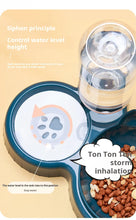 Load image into Gallery viewer, Pet Bowls With Water Feeder, 3 In 1 Ear Design Tilted Cat Water And Food Bowl Set With Gravity Water Bottle For Neck Protection
