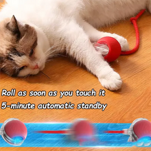 Load image into Gallery viewer, Durable Pet Toys for Dogs And Cats - Teaser Ball with Rope Jumping Ball Thud Toy for Self-Entertainment Pet Supplies
