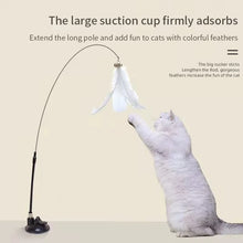 Load image into Gallery viewer, Interactive Cat Toy Handfree Cat Stick Kitten Playing Teaser Wand Toy Suction Cup Feather Wand Pet Supplies Simulation Feather
