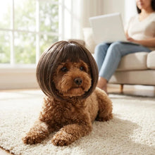 Load image into Gallery viewer, Pet Wigs Cosplay Props Dog Cat Cross-Dressing Hair Set Photography Funny Props Head Accessories Prank Pet Supplies Costumes DIY

