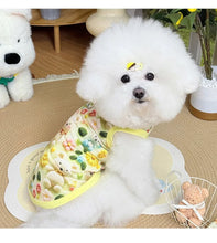 Load image into Gallery viewer, Spring pet apparel: cat &amp; dog clothing - cartoon 3d print, teddy style, cute &amp; breathable, anti-shedding, dropshipping available
