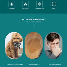 Load image into Gallery viewer, Reusable Washable Pee Training Pad
