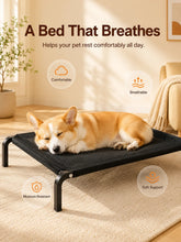 Load image into Gallery viewer, Elevated Pet Bed for Dogs, Washable Dog Bed for Small, Medium, Large &amp; XL Puppies, Breathable Mesh Dog Bed
