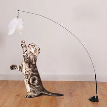 Load image into Gallery viewer, Interactive Cat Toy Handfree Cat Stick Playing Kitten Playing Teaser Wand Toy Suction Cup Bird/Feather Cat Wand Pet Supplies
