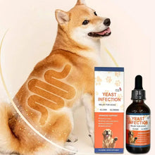 Load image into Gallery viewer, 60ML 3Kinds Dog Pet Drops Gentle Care Supplement To Maintain Healthy Coat and Skin for Dogs Herbal Drops PET CARE
