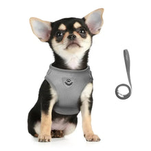 Load image into Gallery viewer, Cat Harness Lead Leash Set Adjustable Reflective Escape Proof Pet Mesh Vest Harness Puppy Dog Collar Small Dog Cat Pet Supplies
