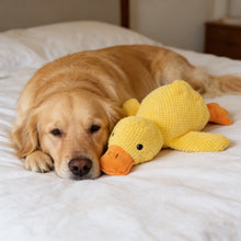Load image into Gallery viewer, Dog Toys Durable For Biting And Teething Make Sounds To Relieve Boredom Plush Sleeping Small Medium-Sized Pet
