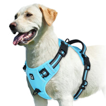 Load image into Gallery viewer, Easy Control Handle No-Pull Vest
