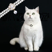 Load image into Gallery viewer, Pet Accessories Double Layer Pearl Pet Necklace Sweet Flower Pendant Cat Neck Chain Adjustable Pet Pearl Collar Photograph

