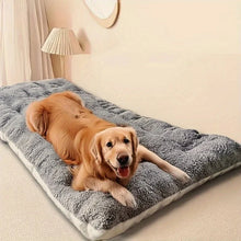 Load image into Gallery viewer, Thickened Super Soft Plush Sofa Bed
