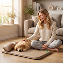 Load image into Gallery viewer, New Pet Bed with Pillow Removable and Washable Pet Mats All-Season Soft Cushion for Dogs and Cats Pet Supplies
