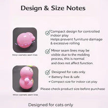 Load image into Gallery viewer, 10pcs Cat Rolling Toy for Indoor Use. Self-rolling Cat Toy. No Batteries Required. Random Designs. Lightweight Cat Puzzle Toy.
