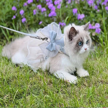 Load image into Gallery viewer, Pet Accessories Princess Style Cat Harness Leash Adjustable Nylon Cat Vest Breathable with Bowknot Pet Chest Strap For Cats Dogs
