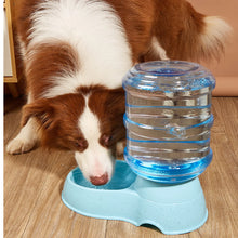 Load image into Gallery viewer, Cat and Dog Feeders Pet Water Dispensers Large Water Storage Capacity Dispensers Pet Automatic Water Dispensers Anti Knock
