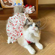 Load image into Gallery viewer, Pet Dress for Dogs &amp; Cats - Layered Cake Style Printed Clothes, Small Medium Breed Apparel, Adorable Summer Outfit

