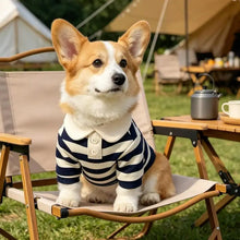 Load image into Gallery viewer, Striped Pet Shirt Soft Pullover Outfit Suitable For Puppy Dogs Cats Schnauzers Pomeranians Daily Casual Pet Apparel
