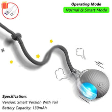 Load image into Gallery viewer, iLMH 1/2 PCS Cat Interactive Ball Toy Automatic Rolling Ball Faux Tail Rechargeable Smart Pet Electric Toy Pet Toy Imitate Mouse
