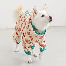 Load image into Gallery viewer, Waterproof Hooded Pet Rain Jacket
