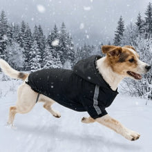 Load image into Gallery viewer, Reflective Waterproof Winter Pet Sweatshirt
