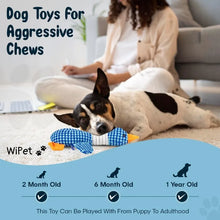 Load image into Gallery viewer, Cat Dog Toys for Aggressive Chewers Cats Dogs,Chew Squeak Toy Cats Dogs Interactive Plush Doll Pet Products
