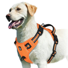 Load image into Gallery viewer, Easy Control Handle No-Pull Vest
