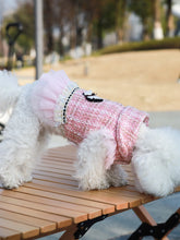 Load image into Gallery viewer, Dog clothes Princess Dress &amp; Jacket For Pets, Suitable For Poodle, Maltese, Yorkshire Terrier In Spring And Autumn
