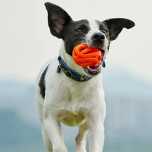 Load image into Gallery viewer, Pet Toys - Bite-resistant Chewing Balls - Hollow Elastic Balls - Training Balls -Entertainment and Relaxation Toys -Pet Supplies
