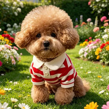 Load image into Gallery viewer, Striped Pet Shirt Soft Pullover Outfit Suitable For Puppy Dogs Cats Schnauzers Pomeranians Daily Casual Pet Apparel
