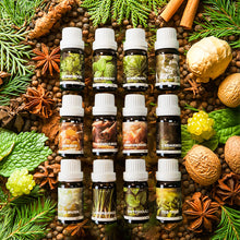 Load image into Gallery viewer, Pure Tea Tree Travel Essential Oil

