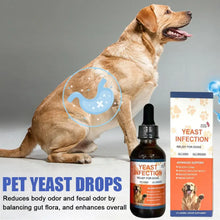 Load image into Gallery viewer, 60ML 3Kinds Dog Pet Drops Gentle Care Supplement To Maintain Healthy Coat and Skin for Dogs Herbal Drops PET CARE
