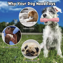 Load image into Gallery viewer, Dog Teething Toy Chew Stick Bite Resistant Fun Leak Proof Food Toy Pet Teether Cleaner Stick
