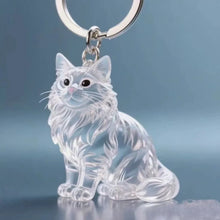 Load image into Gallery viewer, New Cat Hair Storage Keychain Bag Pendant Transparent Pet Fur Keepsake Capsule Souvenir Collection Gift Decoration Accessories
