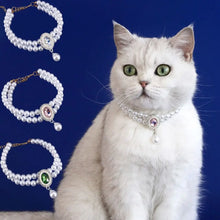 Load image into Gallery viewer, Pet Accessories Double Layer Pearl Pet Necklace Sweet Flower Pendant Cat Neck Chain Adjustable Pet Pearl Collar Photograph
