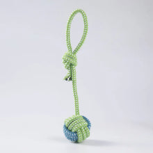 Load image into Gallery viewer, Pet Dog Toys For Large Small Dogs Toy Interactive Cotton Rope Mini Dog Toys Ball For Dogs Accessories Toothbrush Chew Puppy Toy
