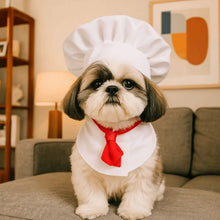 Load image into Gallery viewer, Pet Accessories Cute Pet Cooking King Hat Adjustable Comfortable Chef Hat Set Stylish Cat Cosplay Hat Pet Fashion Show

