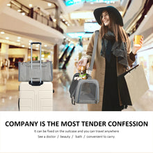 Load image into Gallery viewer, Dog Carrier Bag Soft Side Backpack Cat Pet Carriers Dog Travel Bags Airline Approved Transport For Small Dogs Cats Outgoing
